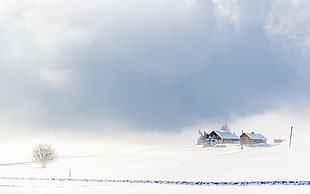 landscape, snow, winter, nature