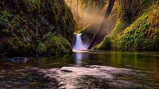 waterfalls with tress, nature, landscape, trees, forest