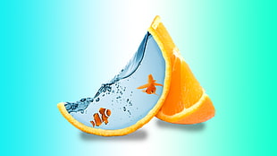 orange slice and fish illustration, photo manipulation, orange (fruit), fish