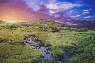 grass covered field near the mountains HD wallpaper