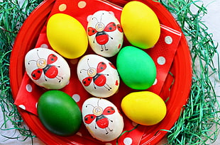nine assorted painted colors eggs HD wallpaper