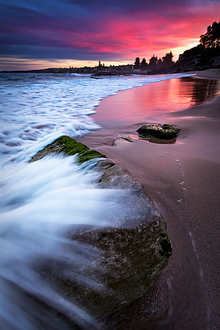 brown sand seashore photography, cronulla