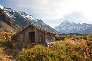 gray wooden house surround with plants within mountain range during daytime HD wallpaper