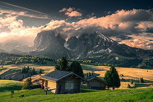 brown wooden house, nature, landscape, Italy, house HD wallpaper