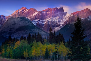 photo of mountain with snow and trees