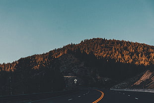 green terrain, Tahoe, California, Road HD wallpaper