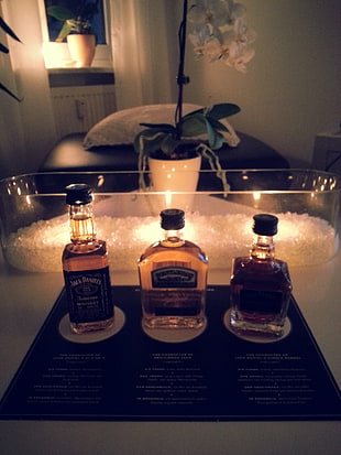 three whiskey bottles, Jack Daniel's, alcohol HD wallpaper