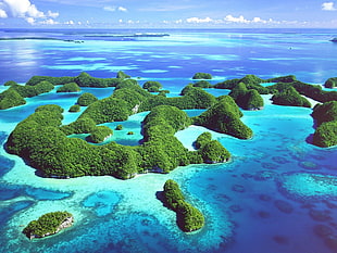 barrier reef during daytime, landscape HD wallpaper