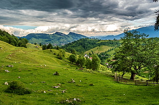 photo of green grass field near hills HD wallpaper
