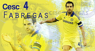 Cesc Fabregas, Chelsea FC, Cesc Fabregas, soccer HD wallpaper