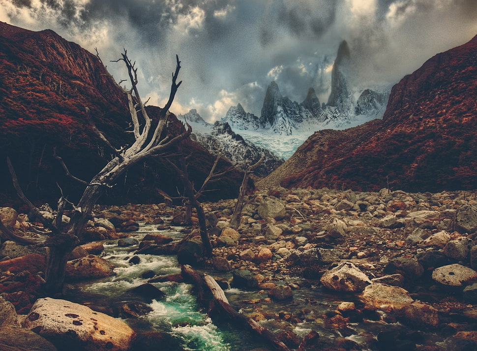 grey mountain, rock, mountains, clouds, trees HD wallpaper