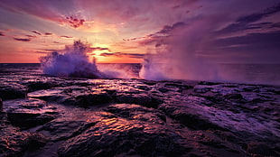 ocean cliff, landscape, nature, shore