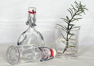 two clear glass decanters and a clear drinking glass with green plant and water HD wallpaper