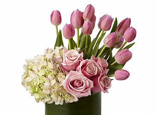 pink roses and tulips HD wallpaper