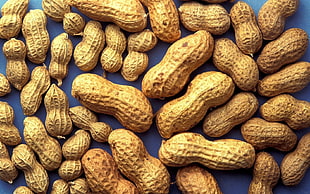 brown peanuts HD wallpaper