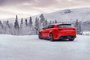 red Hyundai Veloster on snowfield near forest HD wallpaper