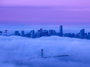 white cloudy sky, landscape, purple sky, clouds