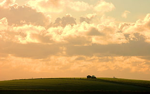 green grassland, landscape, clouds, field HD wallpaper