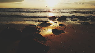 sea waves, landscape, phone camera, beach