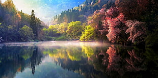 trees near body of water illustration during daytime HD wallpaper