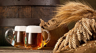 two clear glass jars, drinking glass, barrels, beer, wooden surface