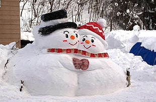photography of snowman hugging