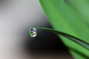 water drop in tilt shift lens photogrpahy HD wallpaper