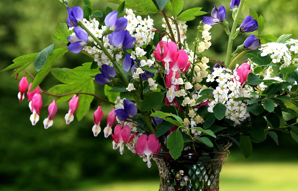 shallow focus photography of white pink and purple flowers under sunny sky HD wallpaper