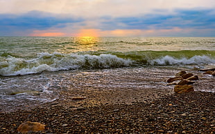 beach during golden hour HD wallpaper