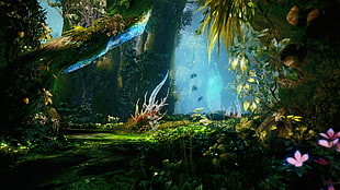 forest wallpaper, video games, Final Fantasy XIII, forest, screen shot HD wallpaper