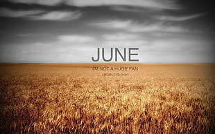 brown field, landscape, June, photography, quote HD wallpaper