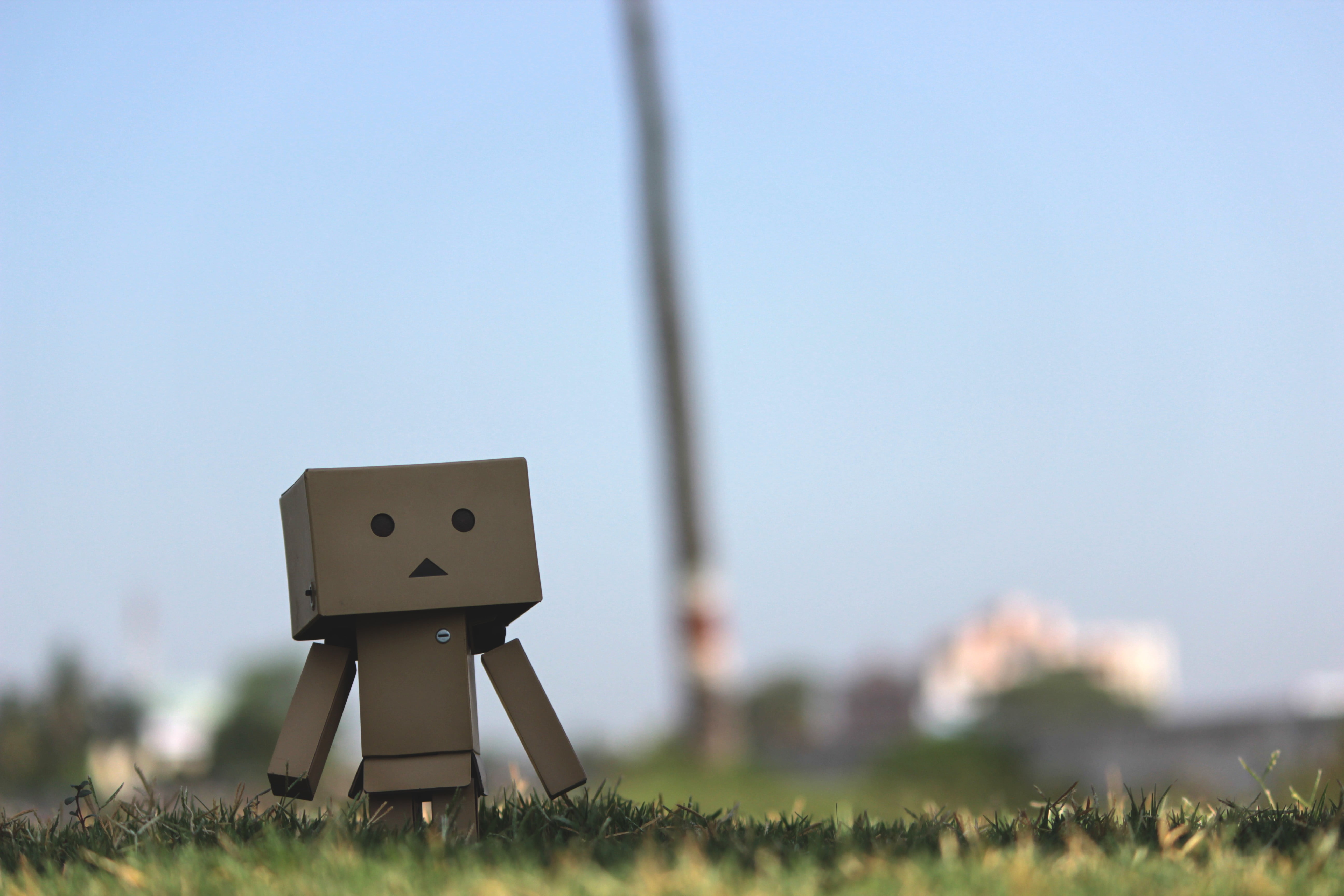 Danbo digital wallpaper, Yotsubato, Danbo