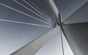 photography, architecture, Erasmusbrug, bridge HD wallpaper