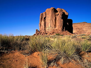 green grass on rock