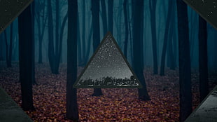 triangular hanging decor, trees, stars, space, blurred HD wallpaper