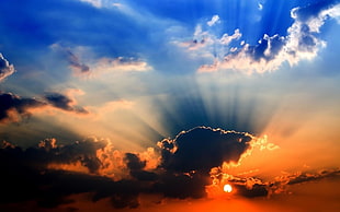 cumulus clouds, sky, clouds, sunlight HD wallpaper