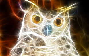 white and yellow animated Owl