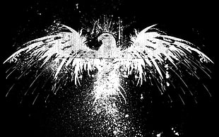 grayscale photography of eagle, eagle, paint splatter, grunge, artwork