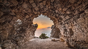 green leafed plant, nature, landscape, stones, cave