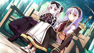 two woman sitting on bench near sword Anime digital wallpaper HD wallpaper