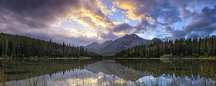 green trees, panoramas, lake, mountains, nature