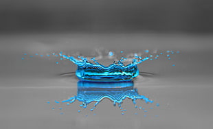 selective focus photography of water drop HD wallpaper