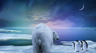white polar bear and four penguin on the ice land HD wallpaper