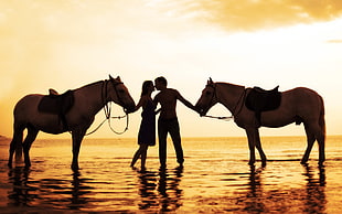 man and woman holding horses HD wallpaper