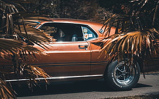 brown car part near trees HD wallpaper