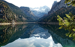 forest lakeside with high mountain hills during daytime HD wallpaper