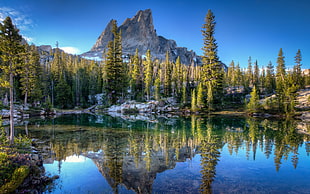 green trees, nature, landscape, Idaho, lake