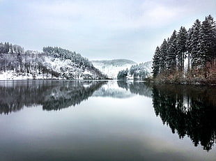 body of water surrounded by tree covered by snow in distant of mountain, germany