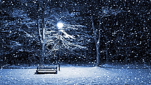 brown wooden bench and lamp post, winter, snow, lantern, cold HD wallpaper