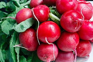 red cherry tomatoes